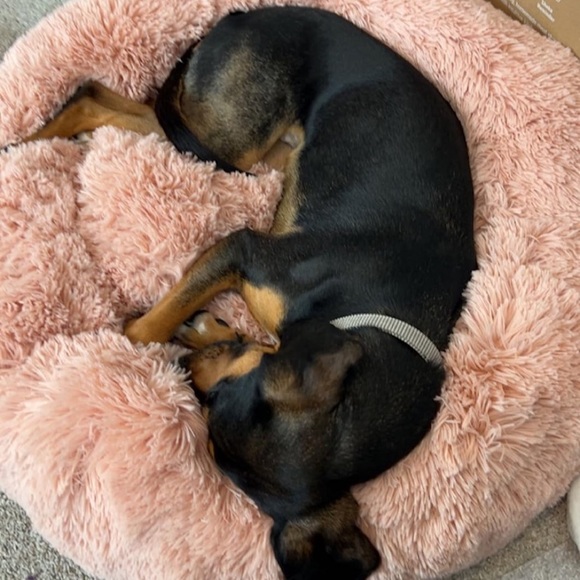 Light pink Fur Round Container calming bed Deluxe Super Plush Pet Bed - Picture 1 of 7